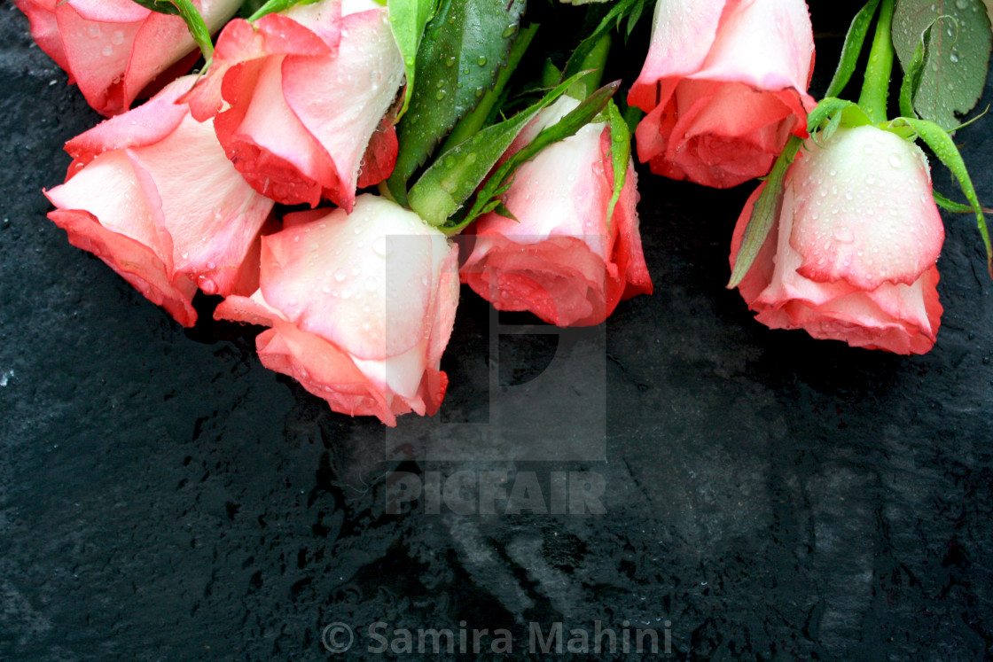 from £31.00