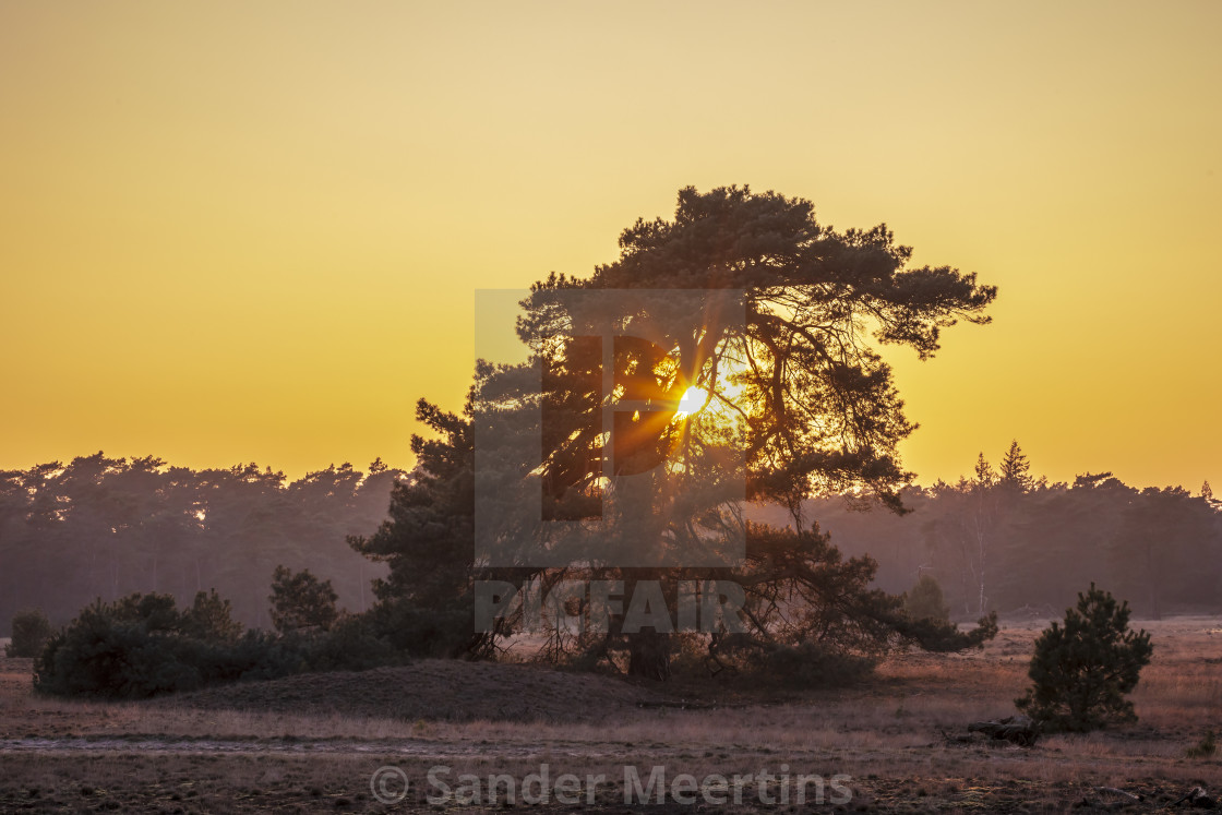 "Colorful sunset at moorland landscape" by Sander Meertins - $5.36 "Colorful sunset at moorland landscape" stock image