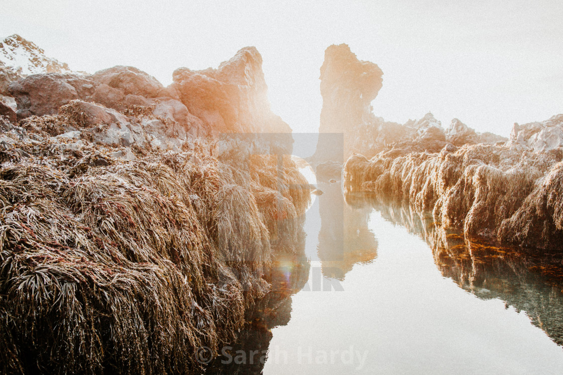 "Icelandic Coast 3" stock image