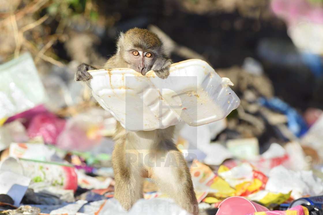 "Lunch" stock image