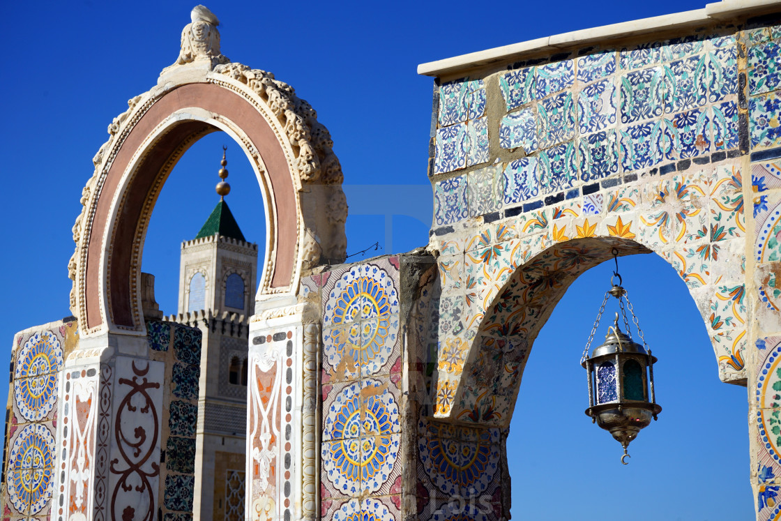 Tunis Medina Rooftop Tunisia License Download Or Print For 7 00 Photos Picfair