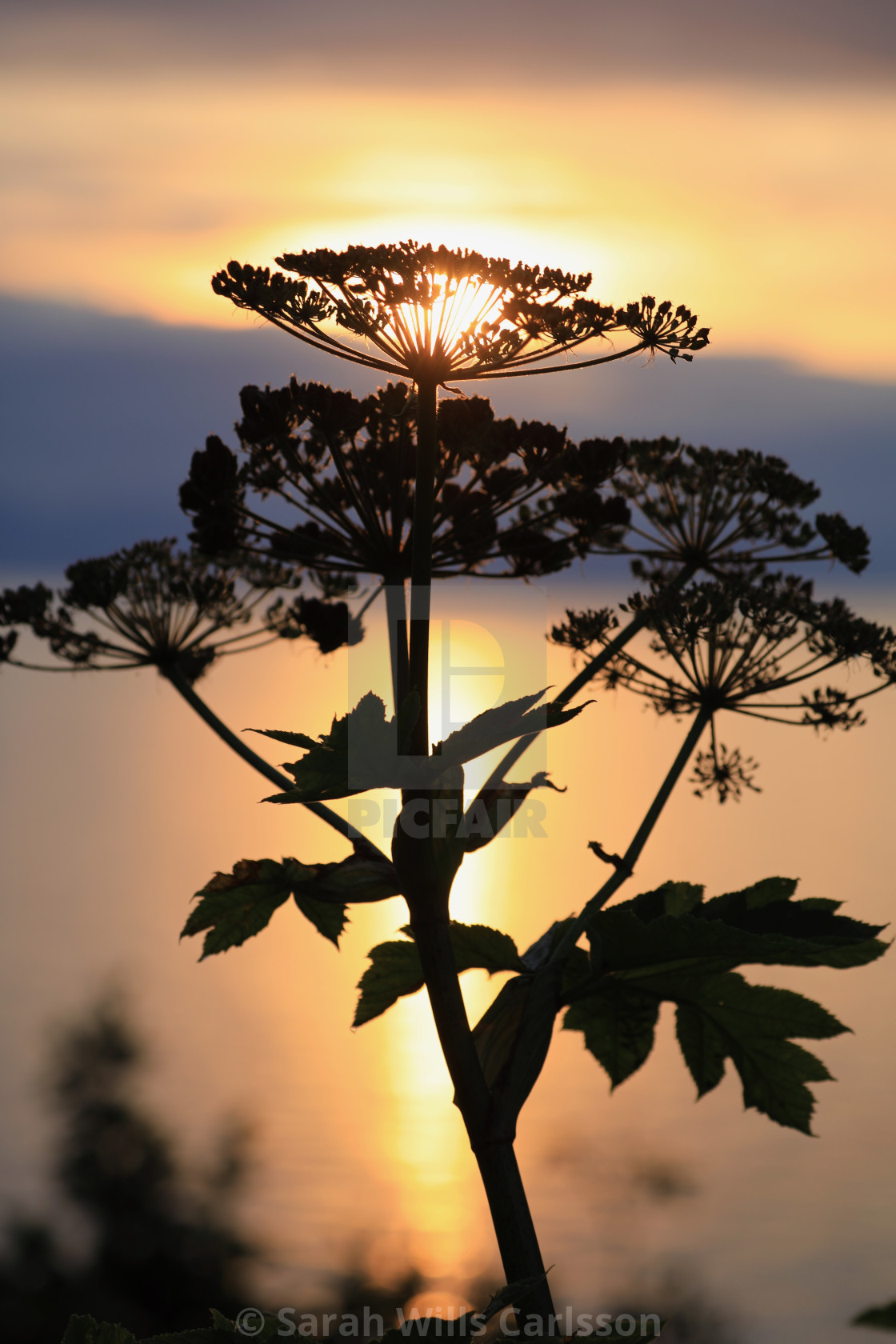 "Anchor Point Silhouette Sunset" stock image