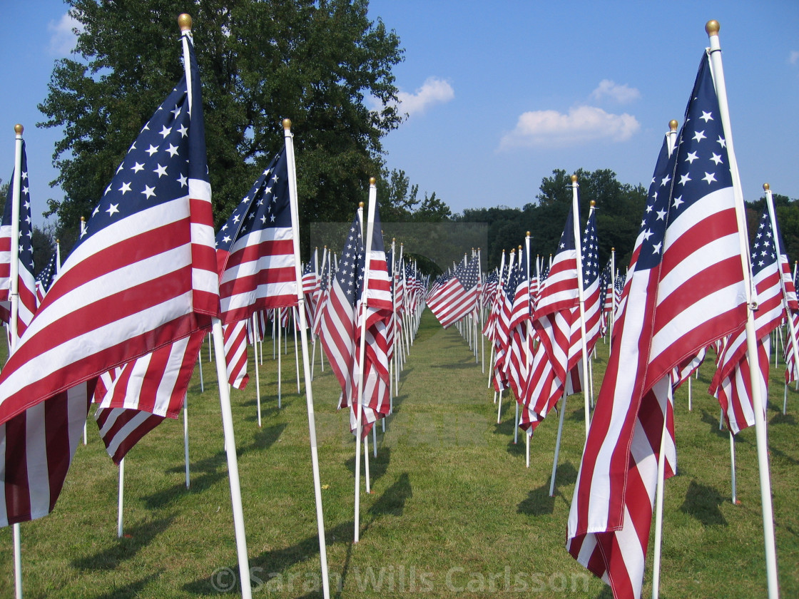 "Memorial Day Field" stock image