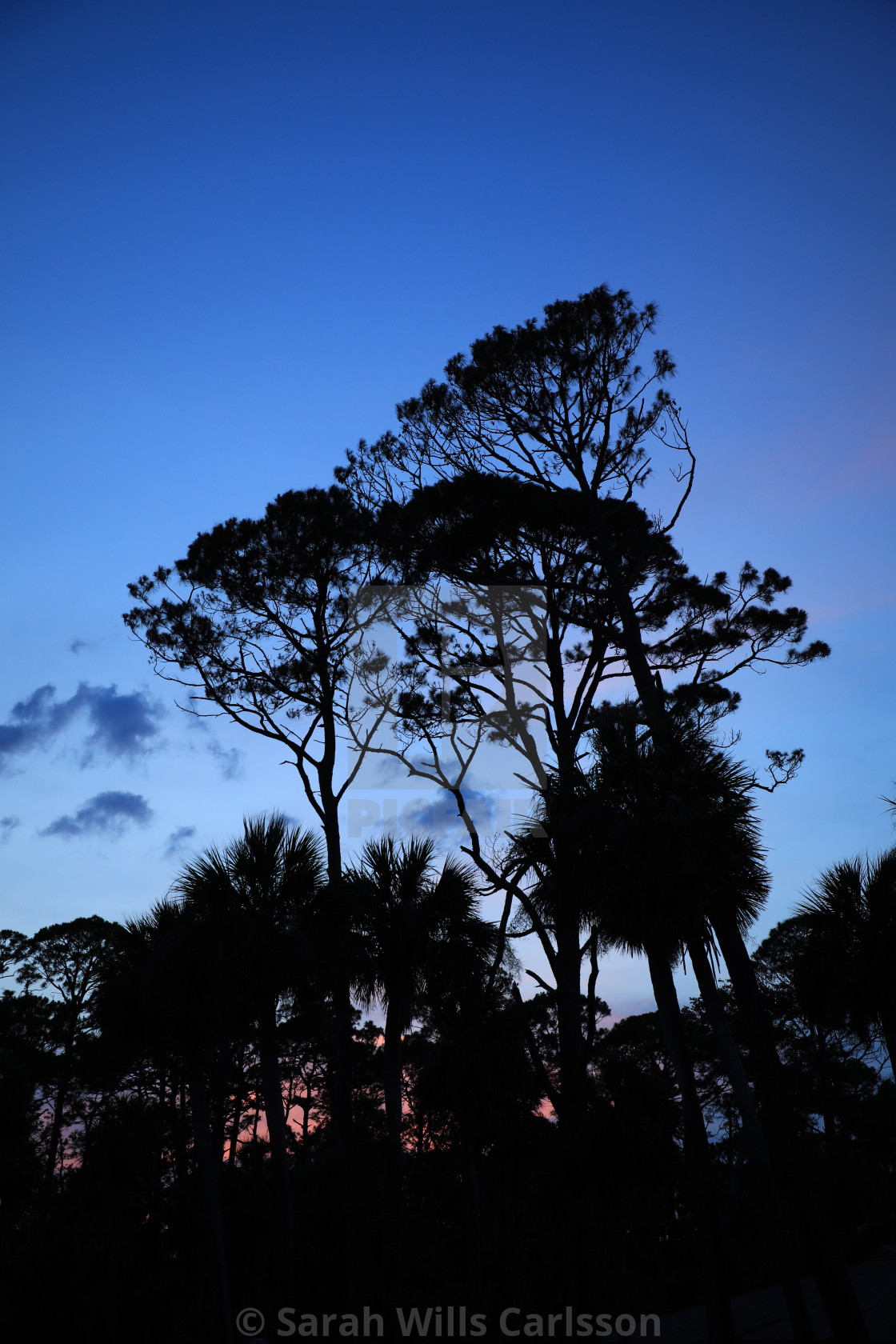 "Hunting Island Sunset" stock image