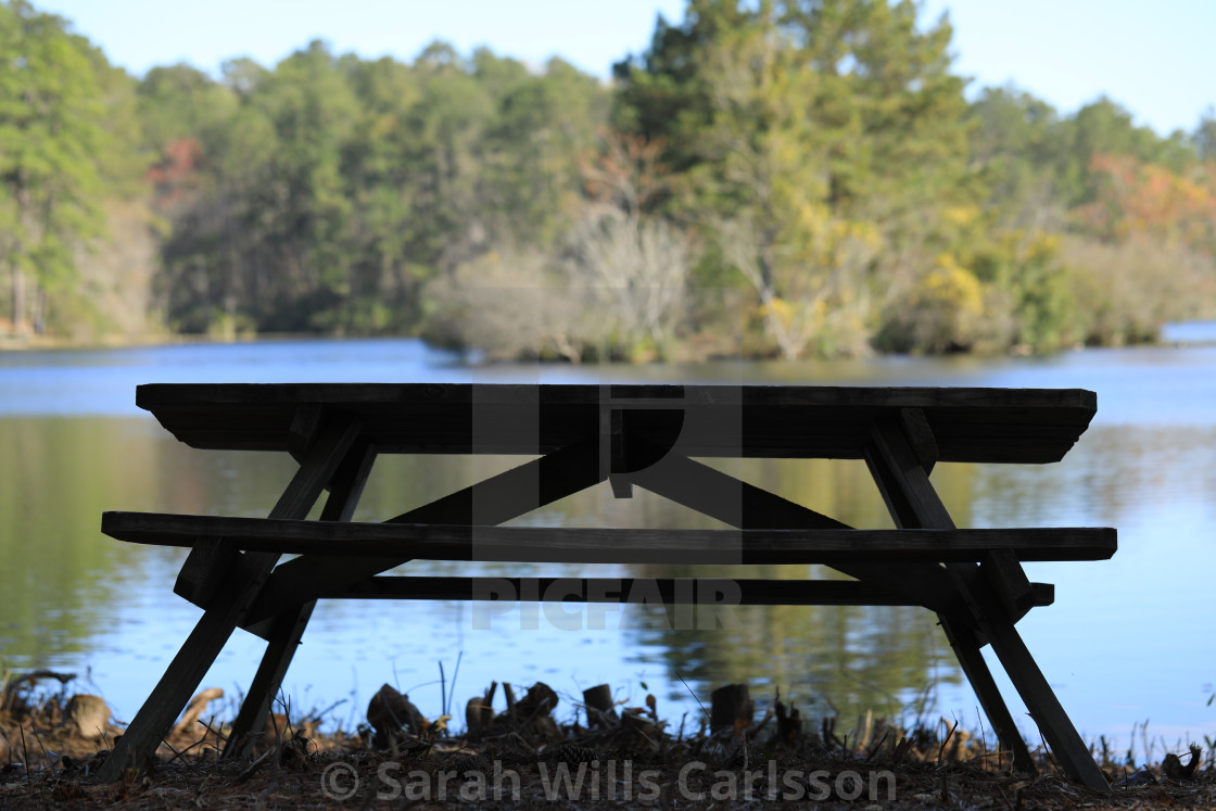 "Picnic Table at the Lake" stock image