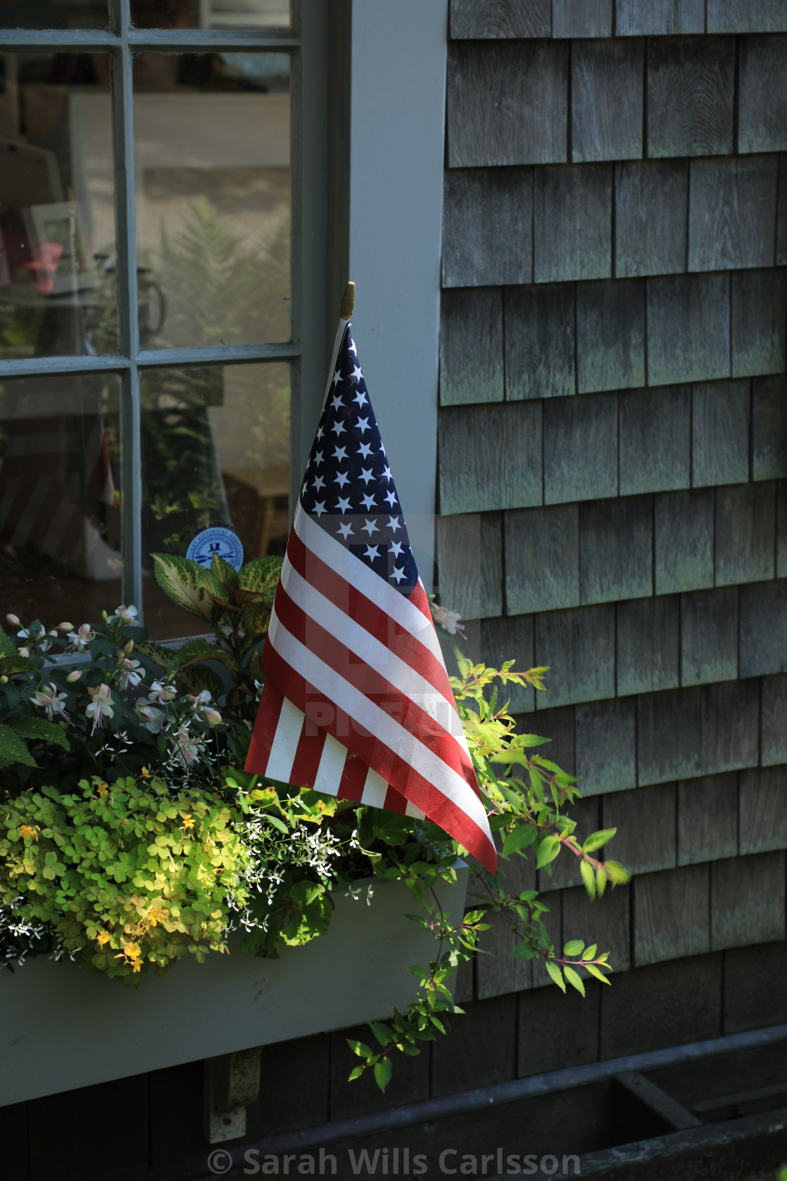 "Celebrating Independence Day" stock image