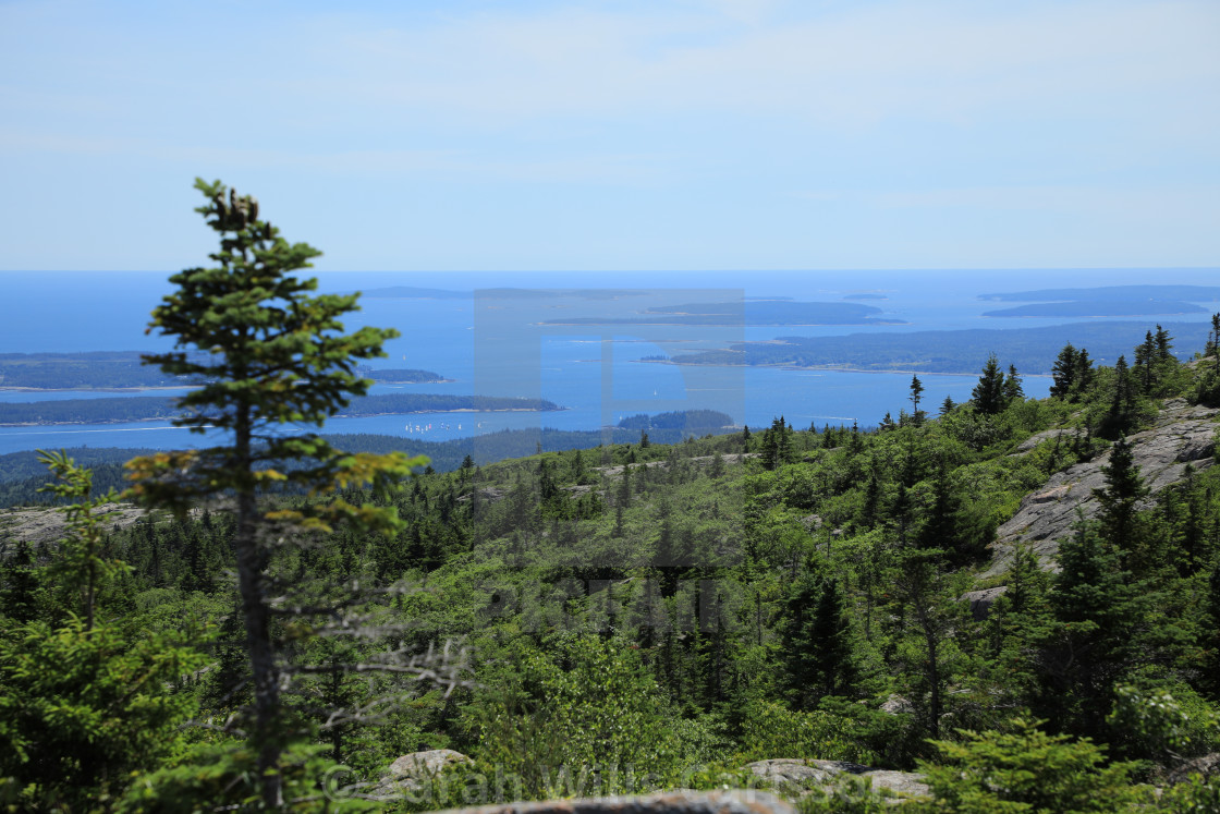 "View from Cadillac Mountain" stock image