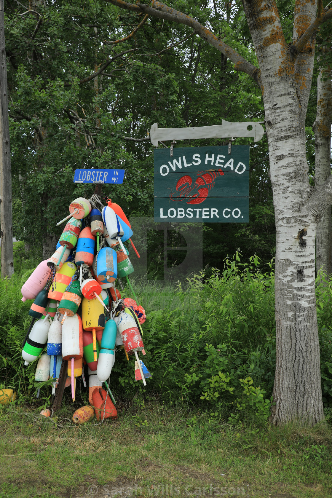 "Lobster Buoys and Sign" stock image