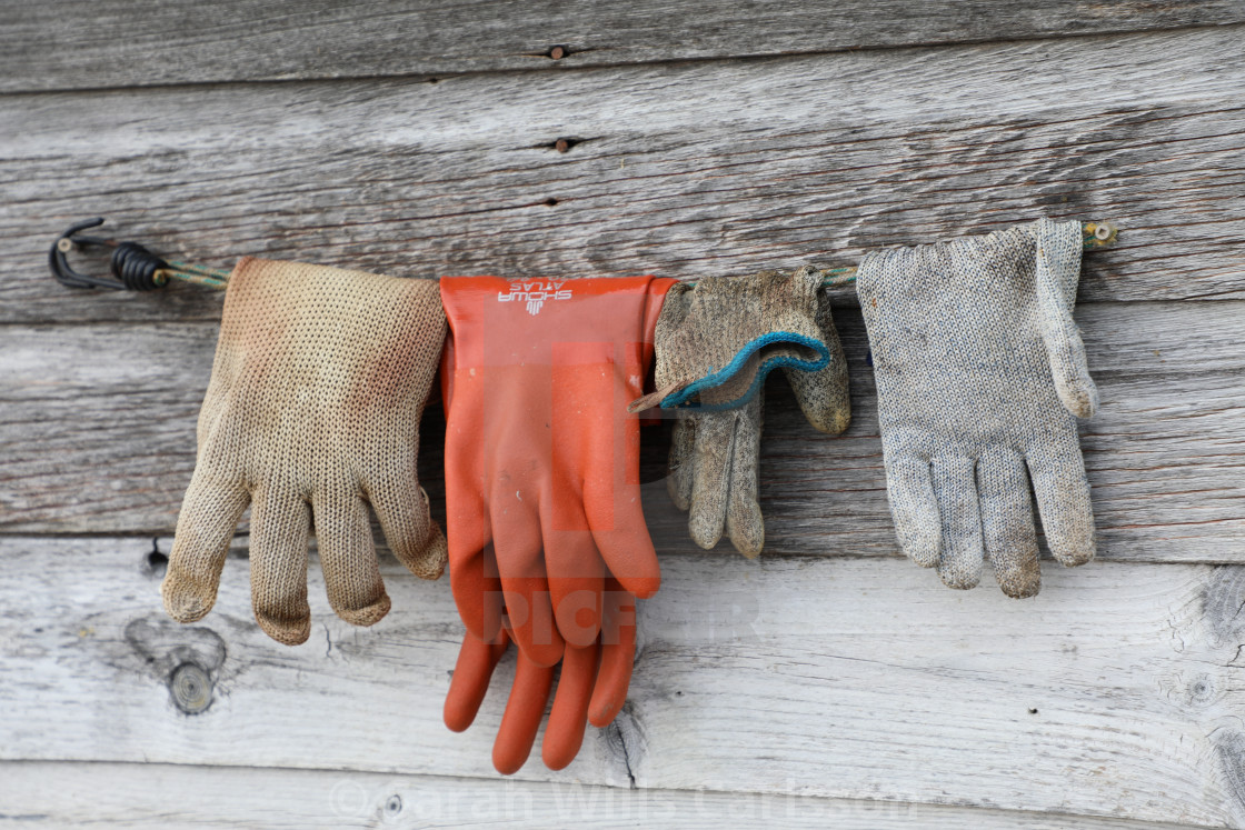 "Work Gloves Against Weather Bleached Wood." stock image