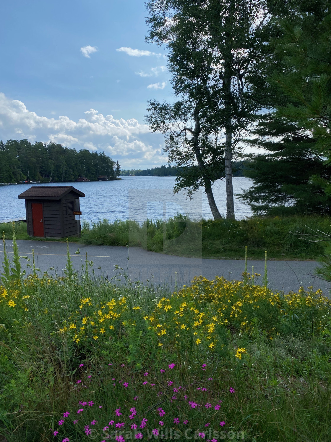 "Adirondack Lake in Summer" stock image