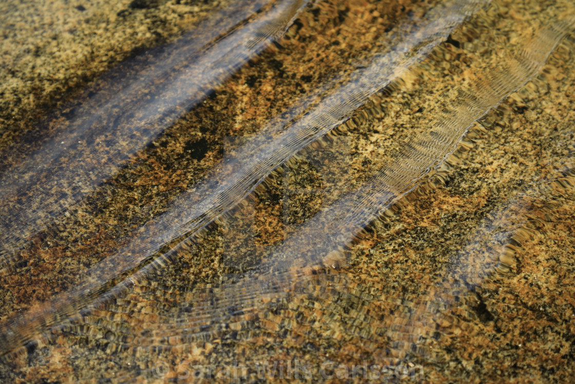 "Water Ripples Over Granite" stock image