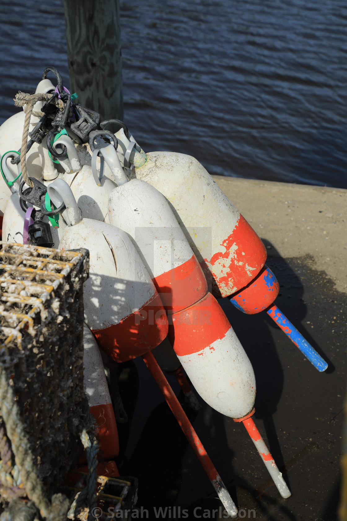 "Lobster Buoys and Pot" stock image