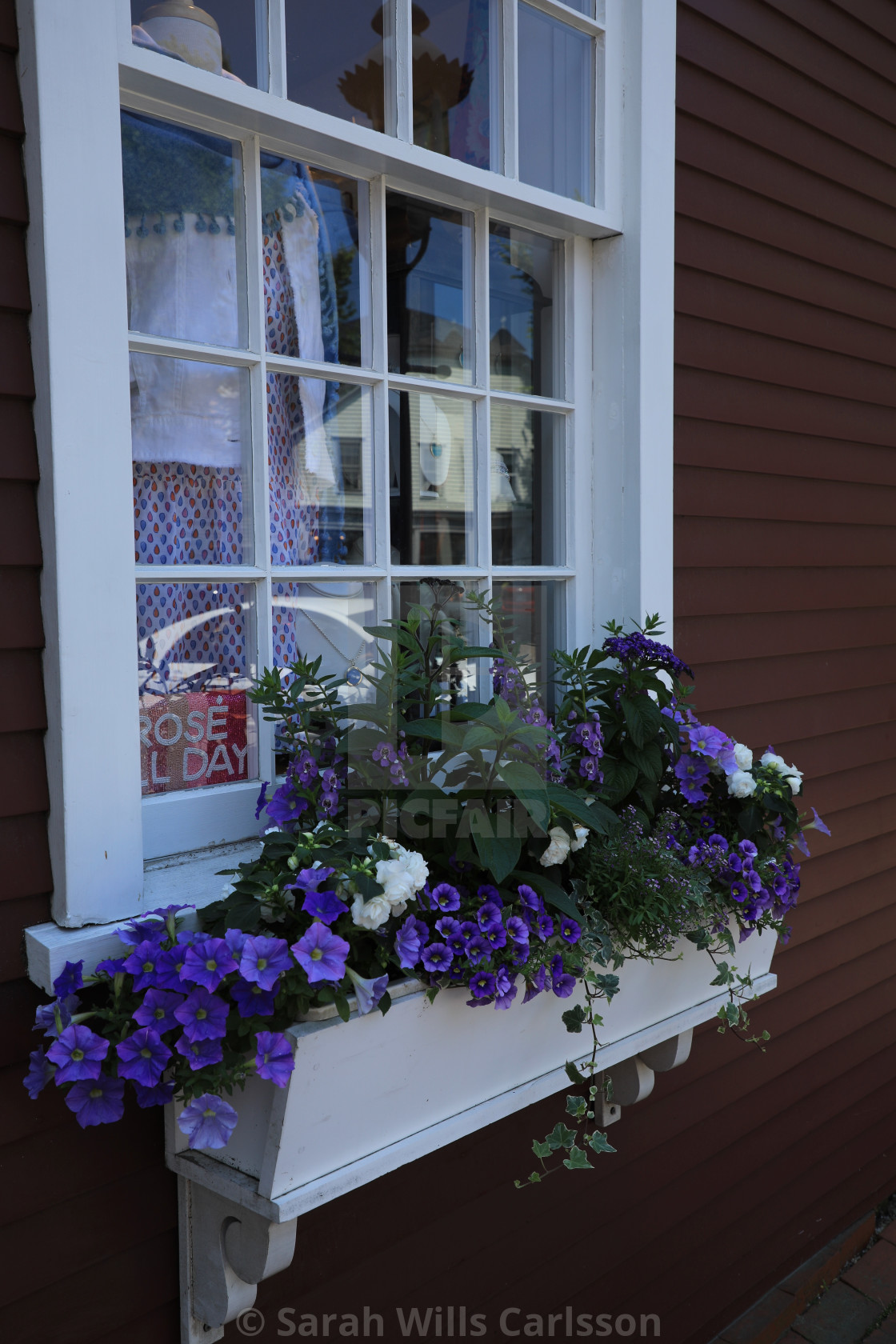 "Window box on Nantucket" stock image