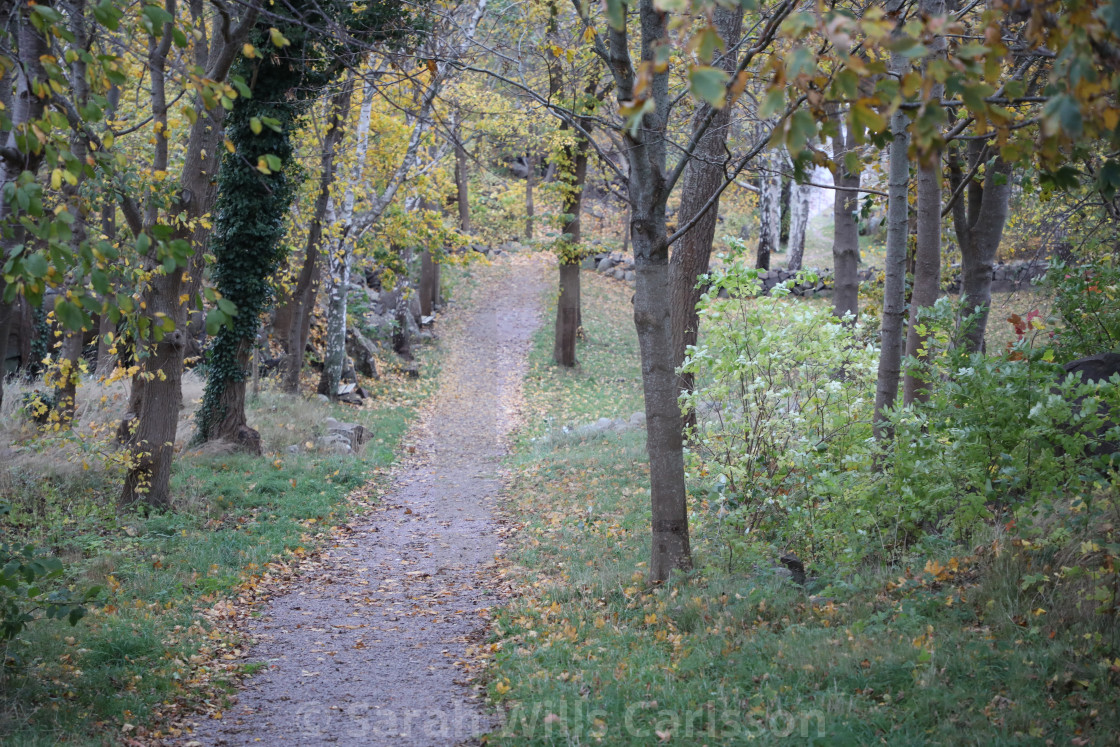 "Fall Pathways" stock image