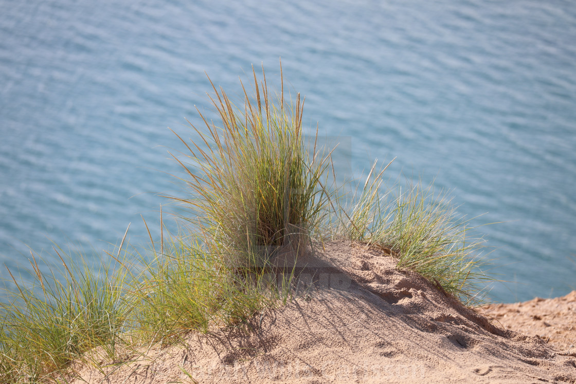 "Dune Grass over Lake Michigan" stock image