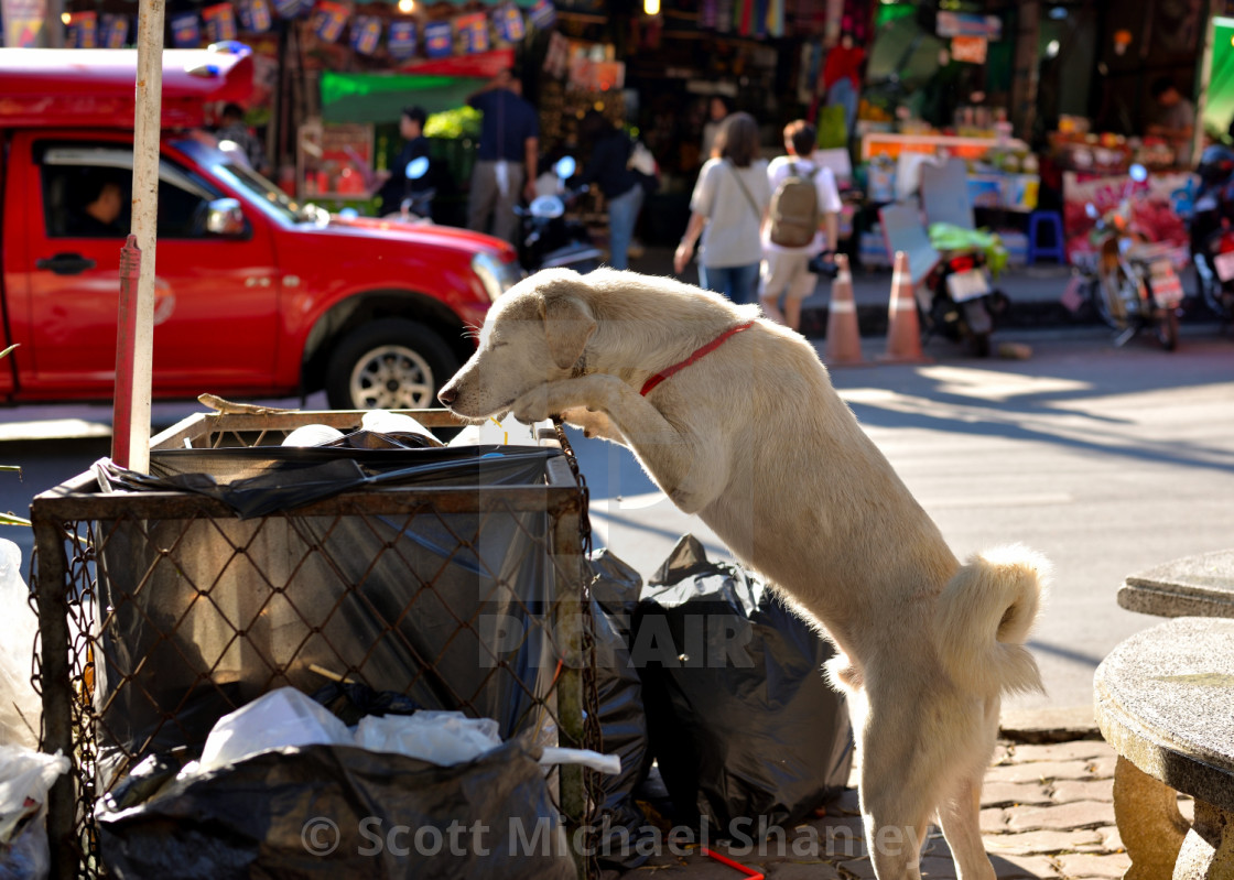 "Mmm. Smells real good!" by Scott Michael Shanley - £12.40 "Mmm. Smells real good!" stock image