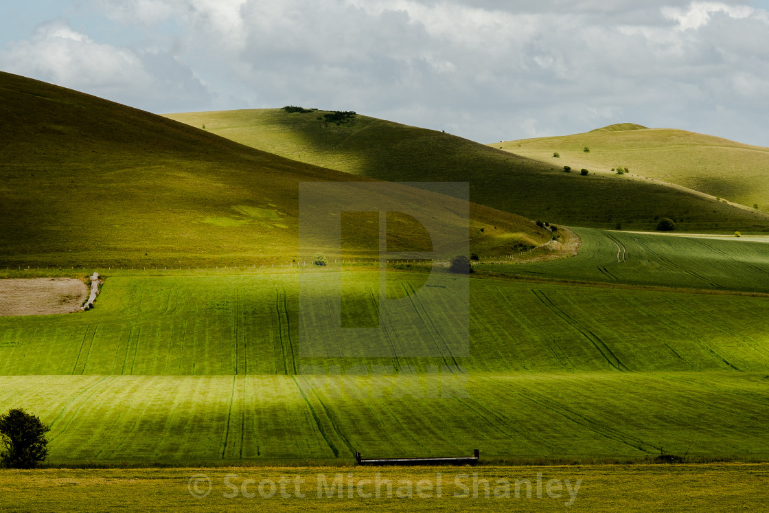 "green velvet on the Downs" by Scott Michael Shanley - £12.40 "green velvet on the Downs" stock image