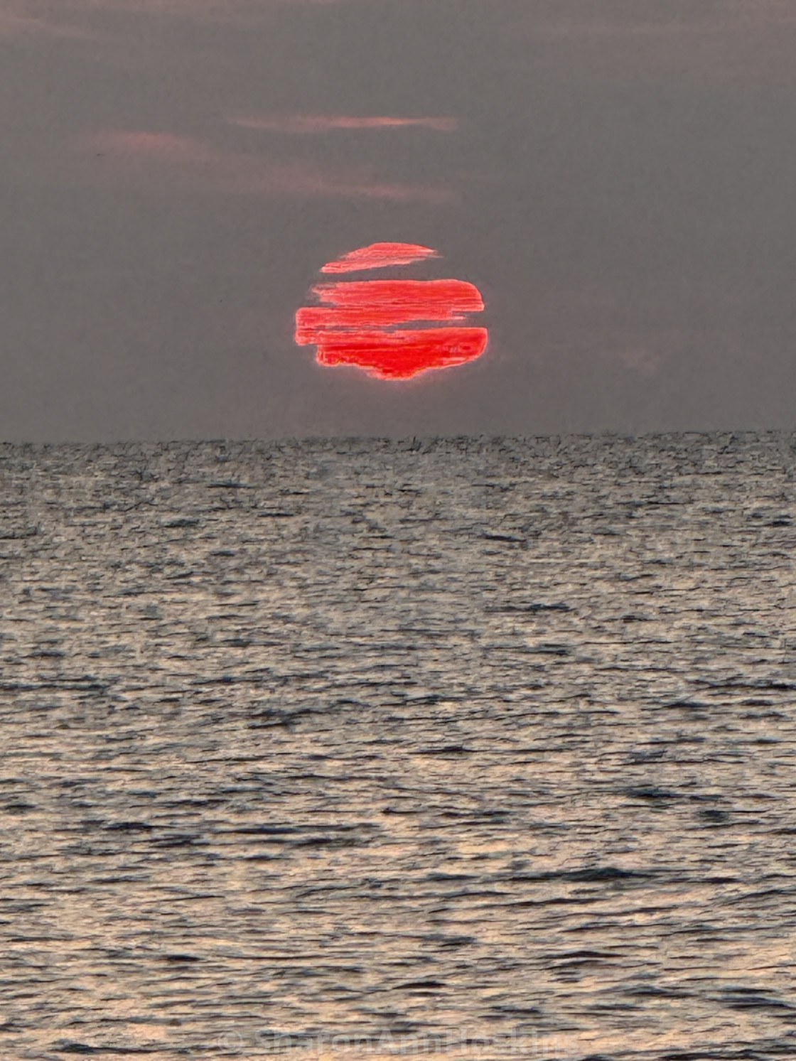 Red riser by SharonAnnHoskins - buy prints & digital downloads