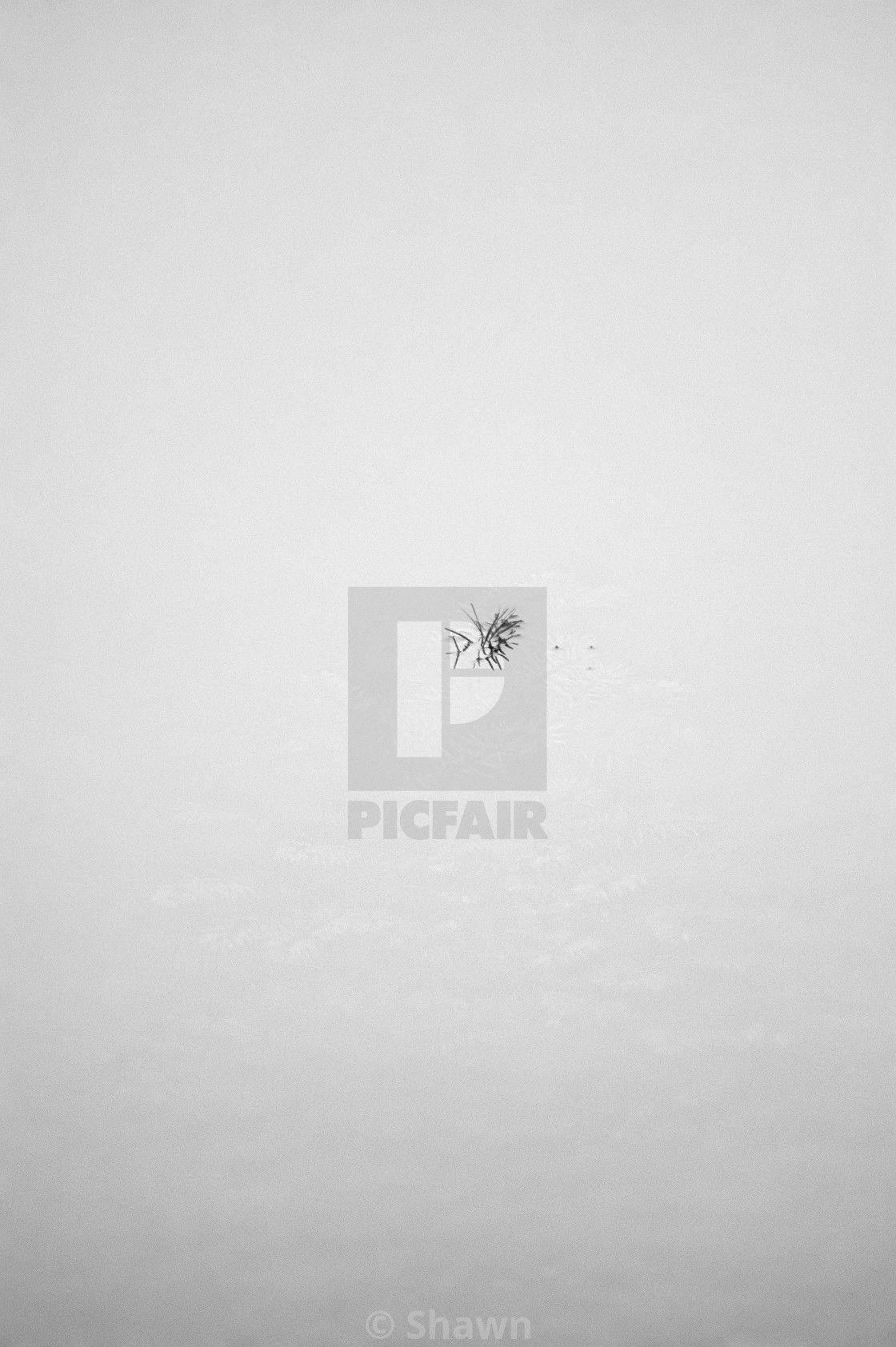 "Alone" stock image