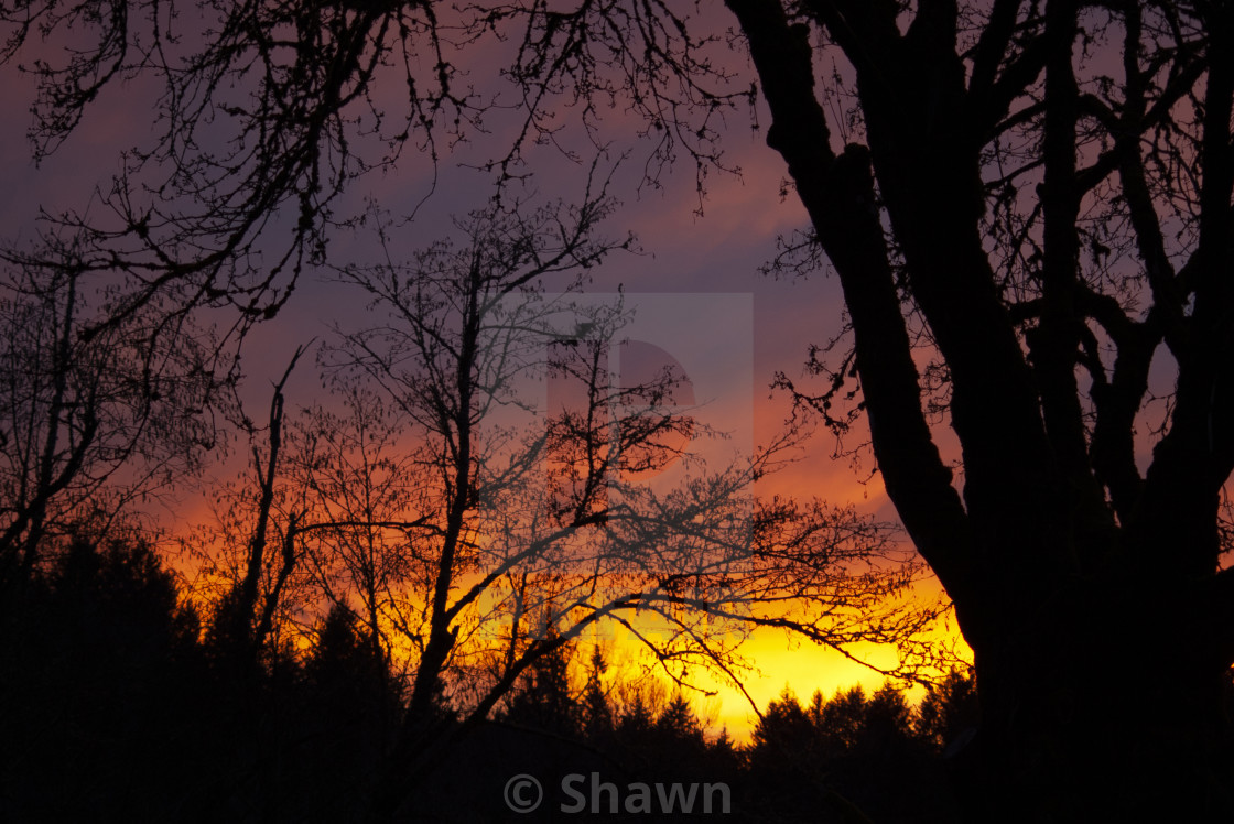 "Multicolored sunset sky" stock image