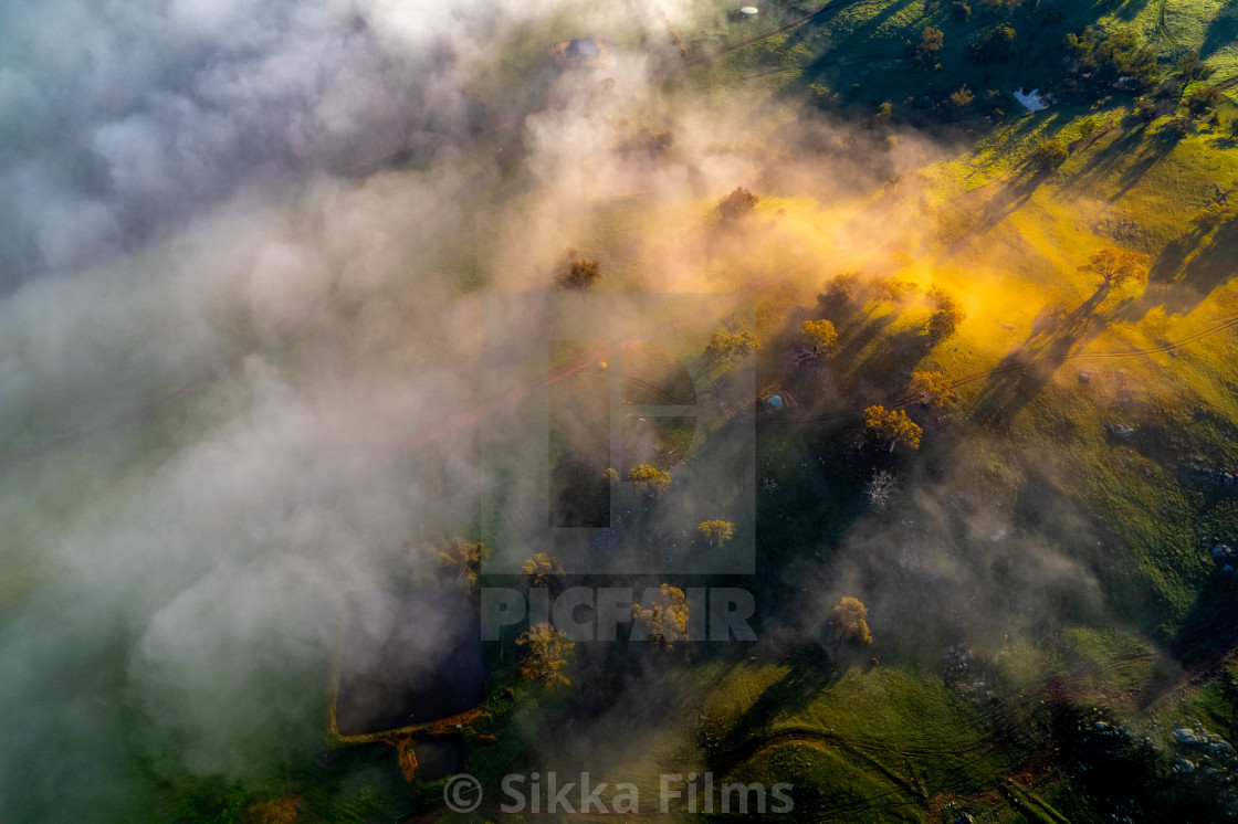 "Foggy morning on countryside" stock image