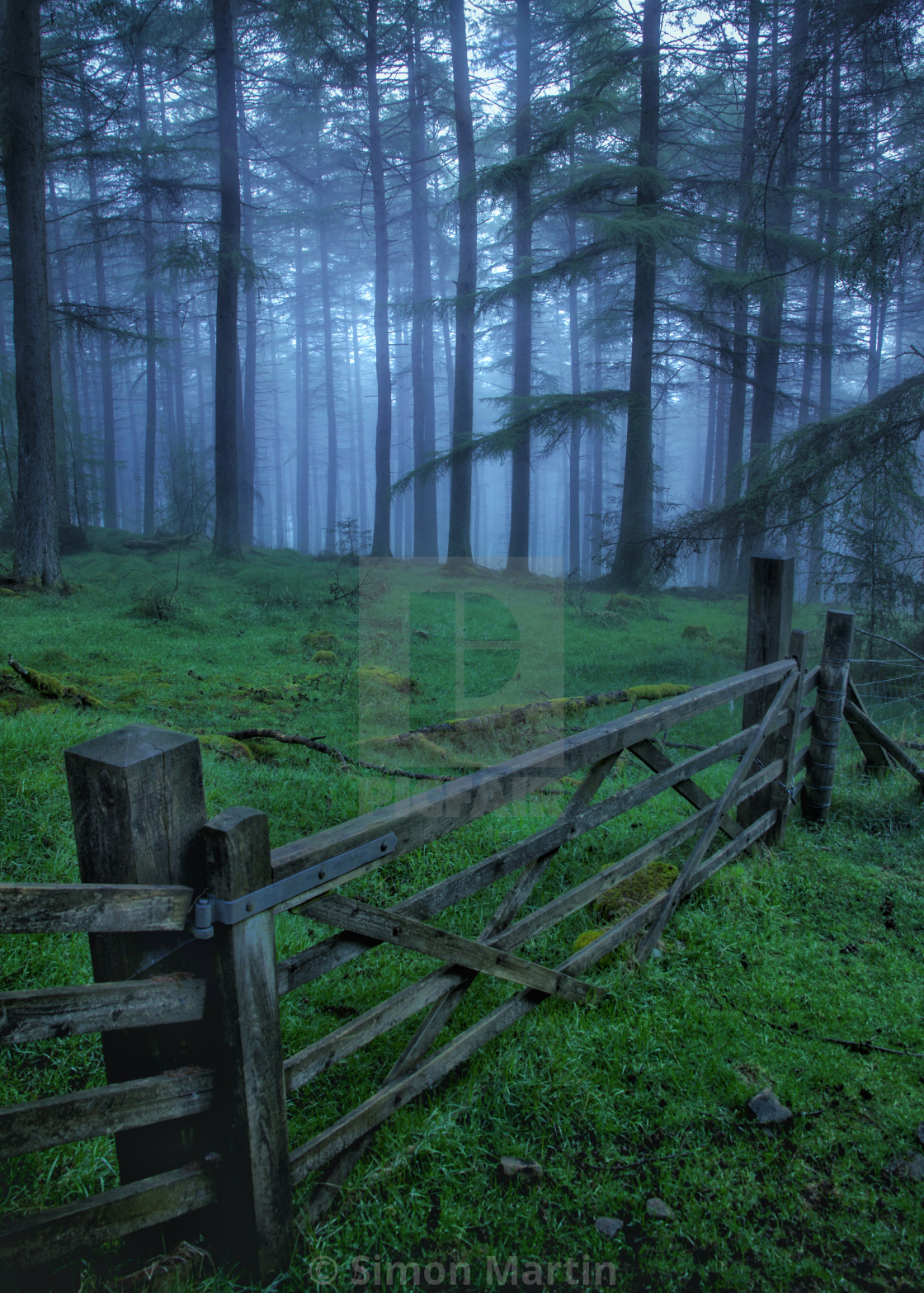 "Moody gate" stock image