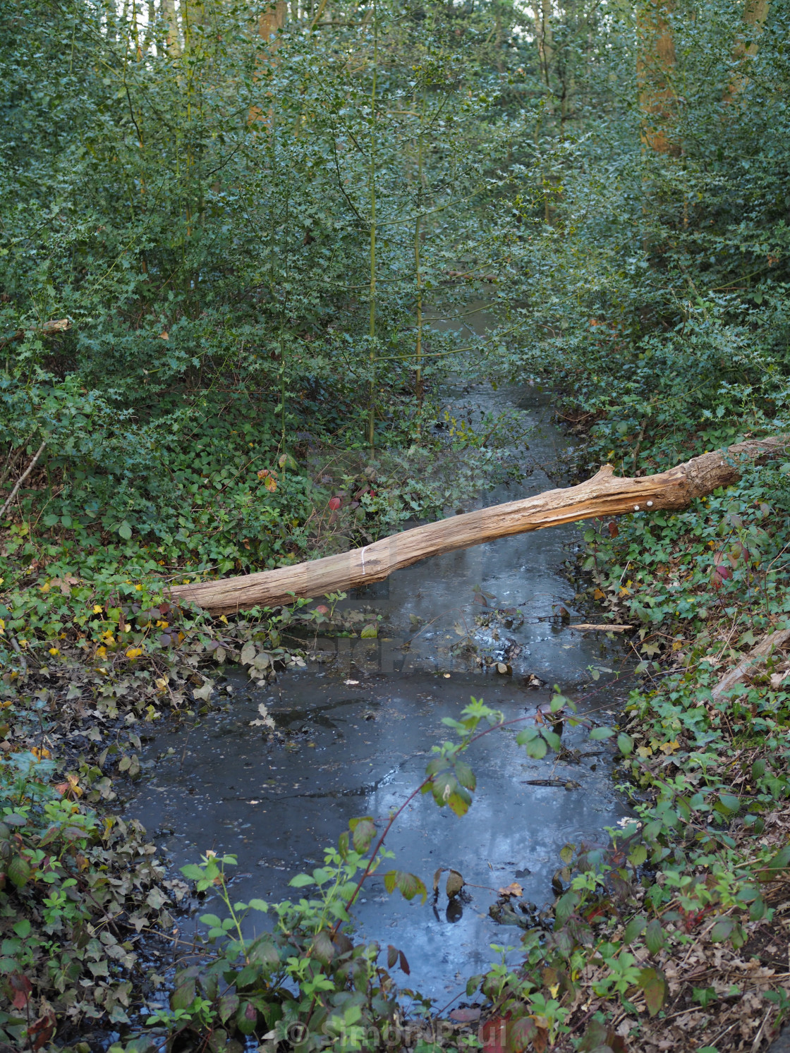 "The Natural Bridge" stock image