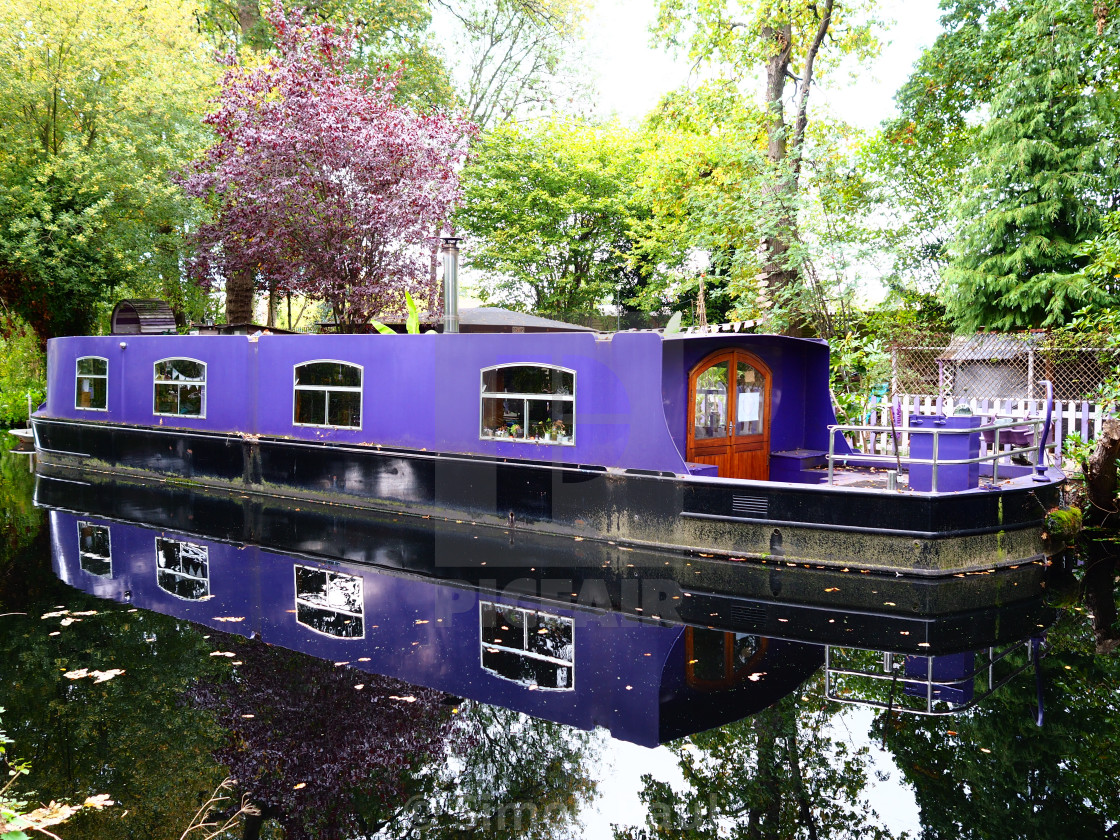 "Water Dwelling" stock image