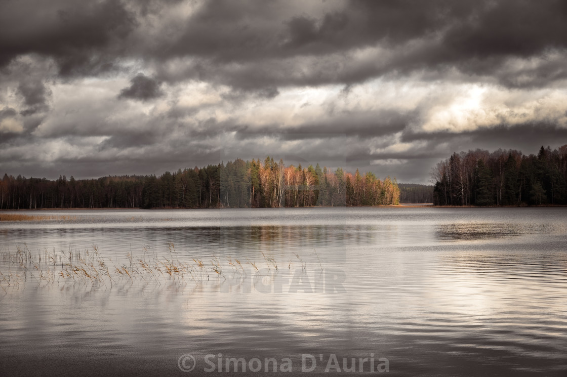 "Forest lake before the storm" stock image