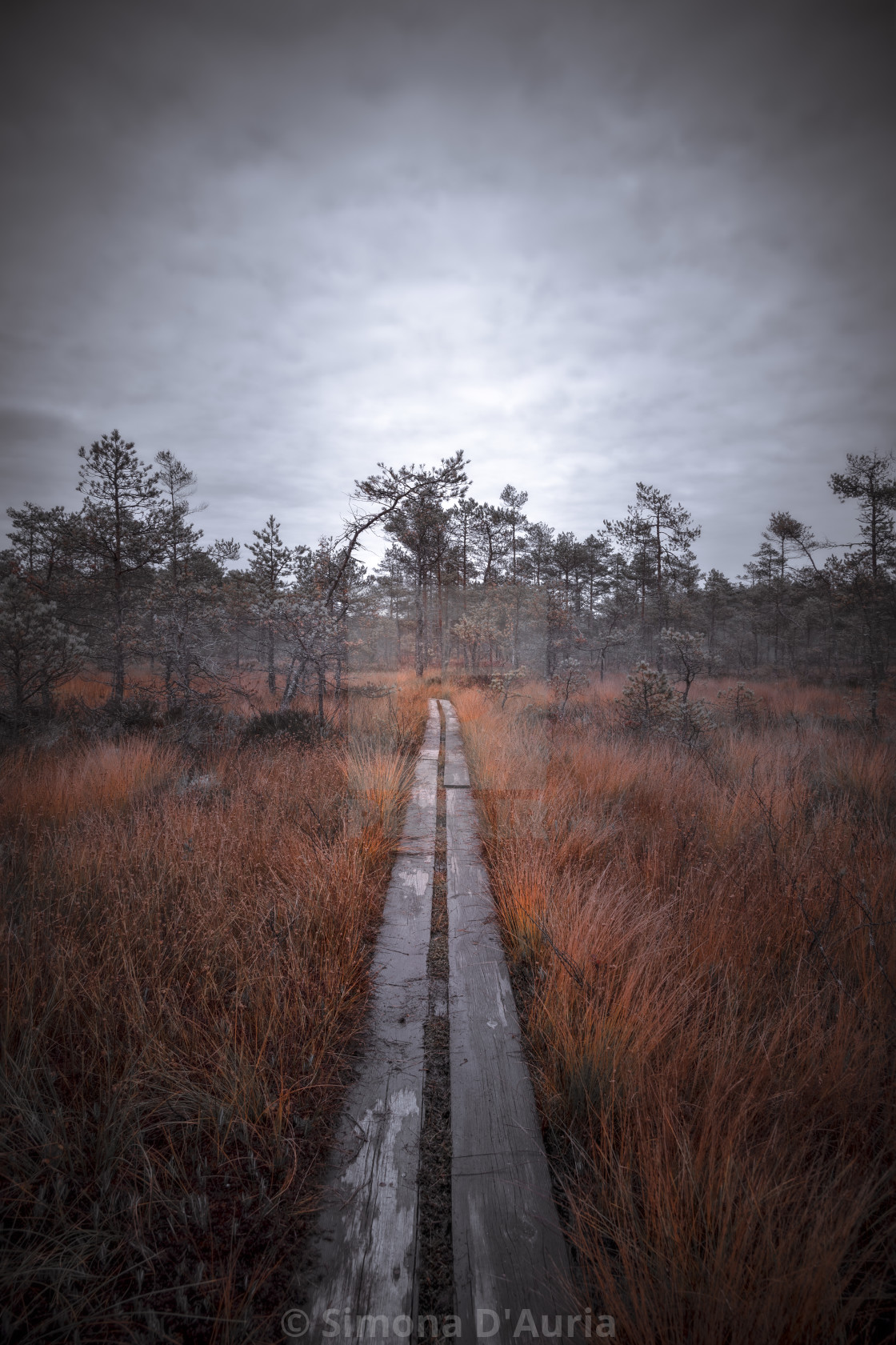 "The journey begins" stock image