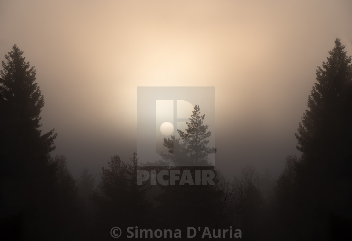 "Sun without rays rising in the foggy sky" stock image