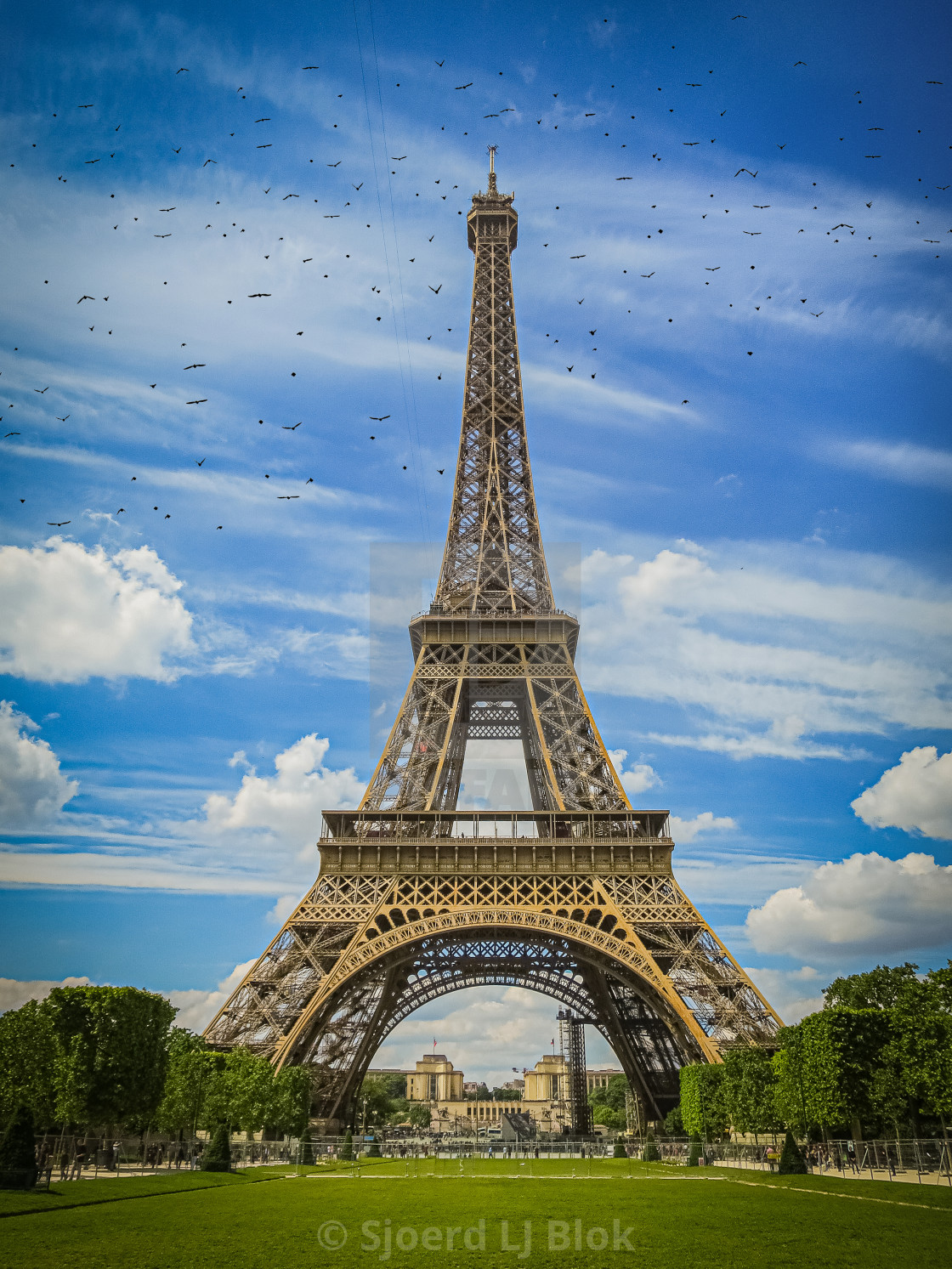 "Eiffel Tower in Paris with lots of bird flying" by Sjoerd L.J. Blok - $7.72 "Eiffel Tower in Paris with lots of bird flying" stock image