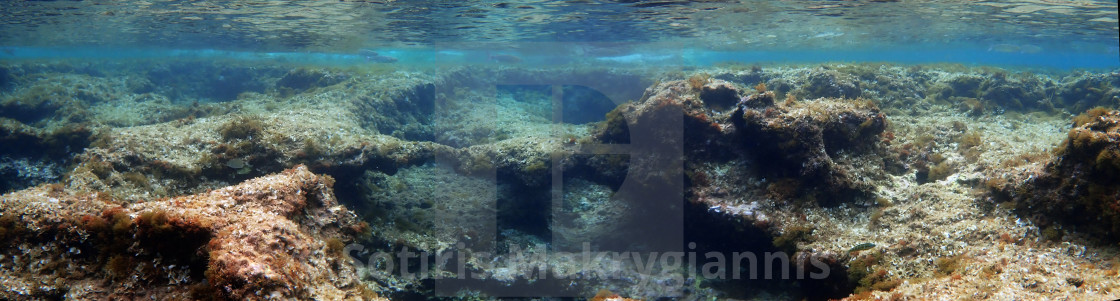 "Seabed" stock image