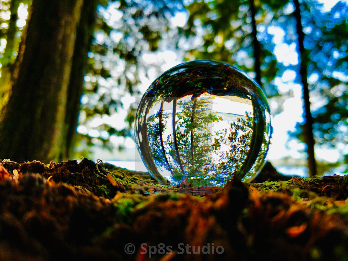 "Crystal Ball Forest" stock image