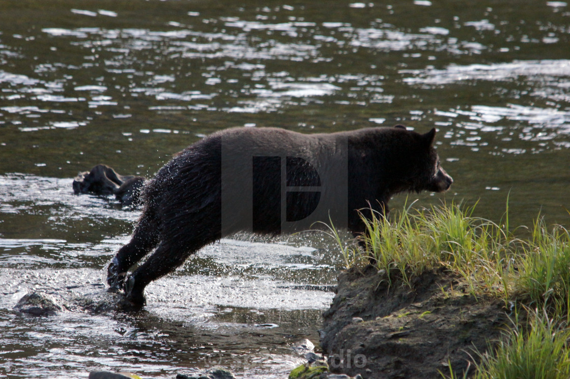 "Morning stretches" stock image