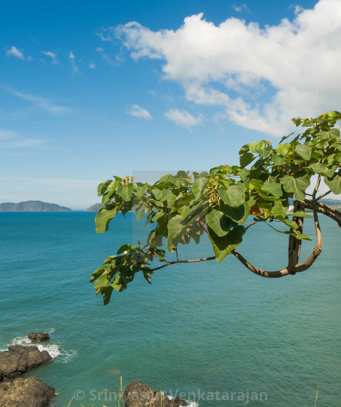 "Rocks and Trees on the Lake Shore" stock image