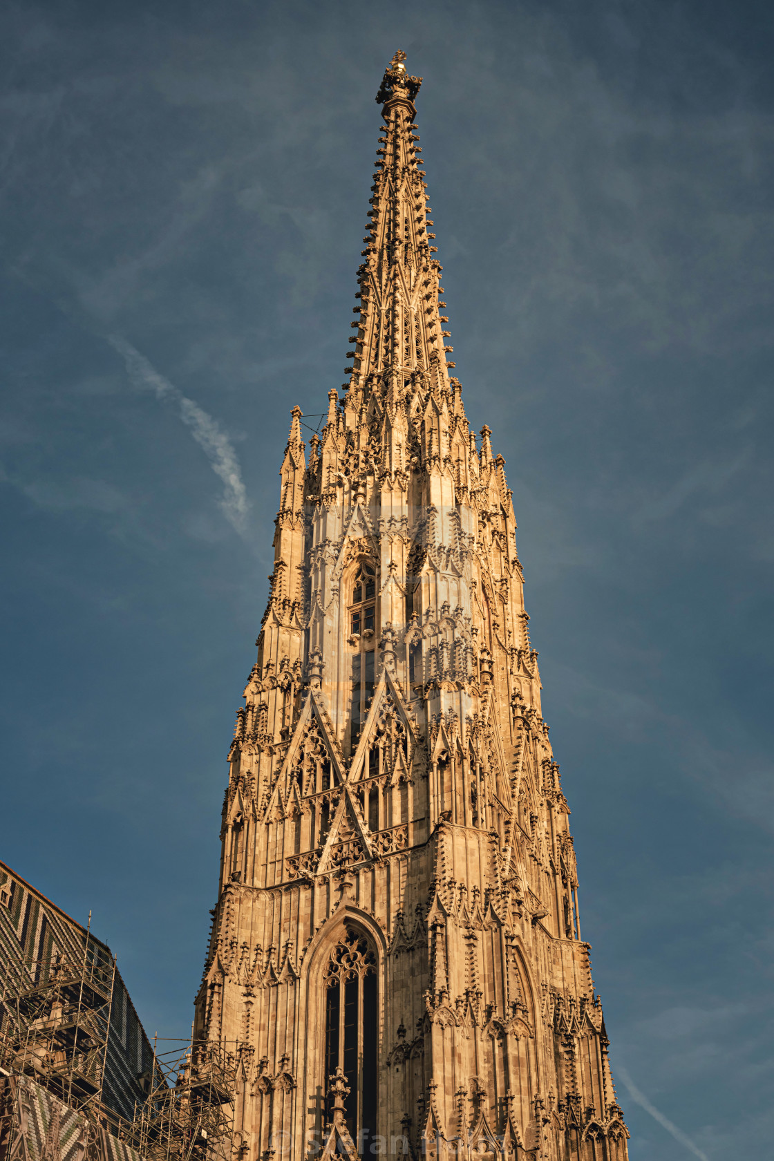"Cathedral Stephansdom in central vienna during late afternoon li" by Stefan Holm - $6.35 "Cathedral Stephansdom in central vienna during late afternoon li" stock image