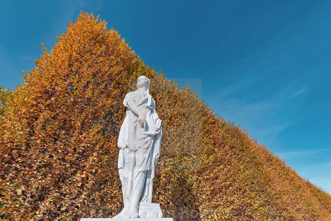 "Female white sculpture in the Schoenbrunn garden with autumn tre" by Stefan Holm - $6.32 "Female white sculpture in the Schoenbrunn garden with autumn tre" stock image