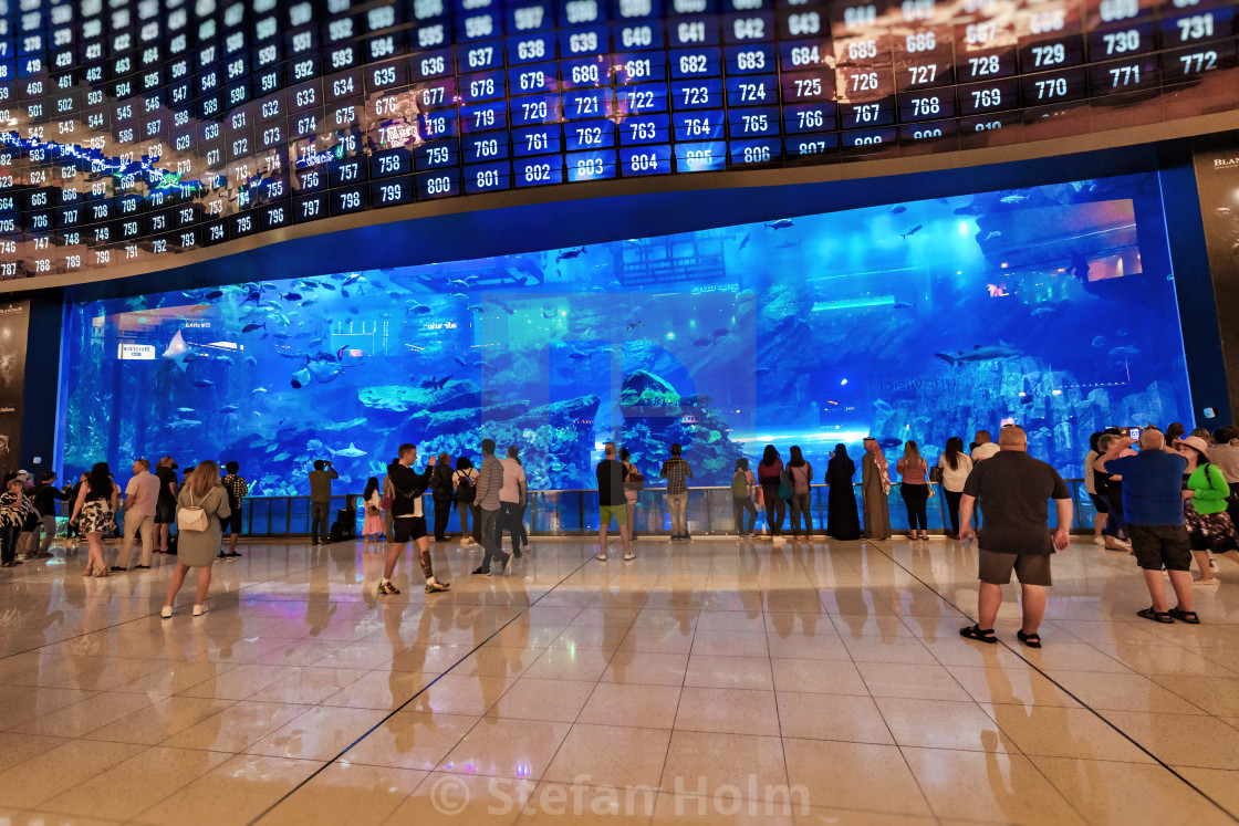 "Dubai mall with its famous big aquarium with sharks and rays, pe" by Stefan Holm - $6.34 "Dubai mall with its famous big aquarium with sharks and rays, pe" stock image