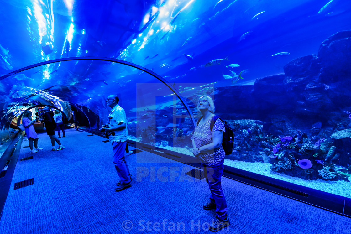 "Dubai mall with its famous big aquarium and its tunnel thru the" by Stefan Holm - $6.35 "Dubai mall with its famous big aquarium and its tunnel thru the" stock image