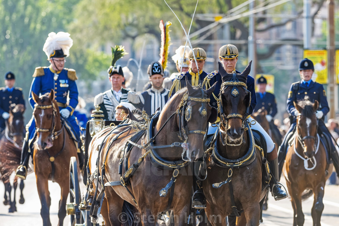 "Swedish Royal carriage with the royal family with Royal guards o" by Stefan Holm - $6.30 "Swedish Royal carriage with the royal family with Royal guards o" stock image