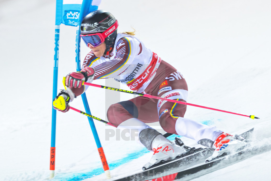 "The Swedish top slalom skier Frida Hansdotter in the parallel ci" by Stefan Holm - $6.32 "The Swedish top slalom skier Frida Hansdotter in the parallel ci" stock image