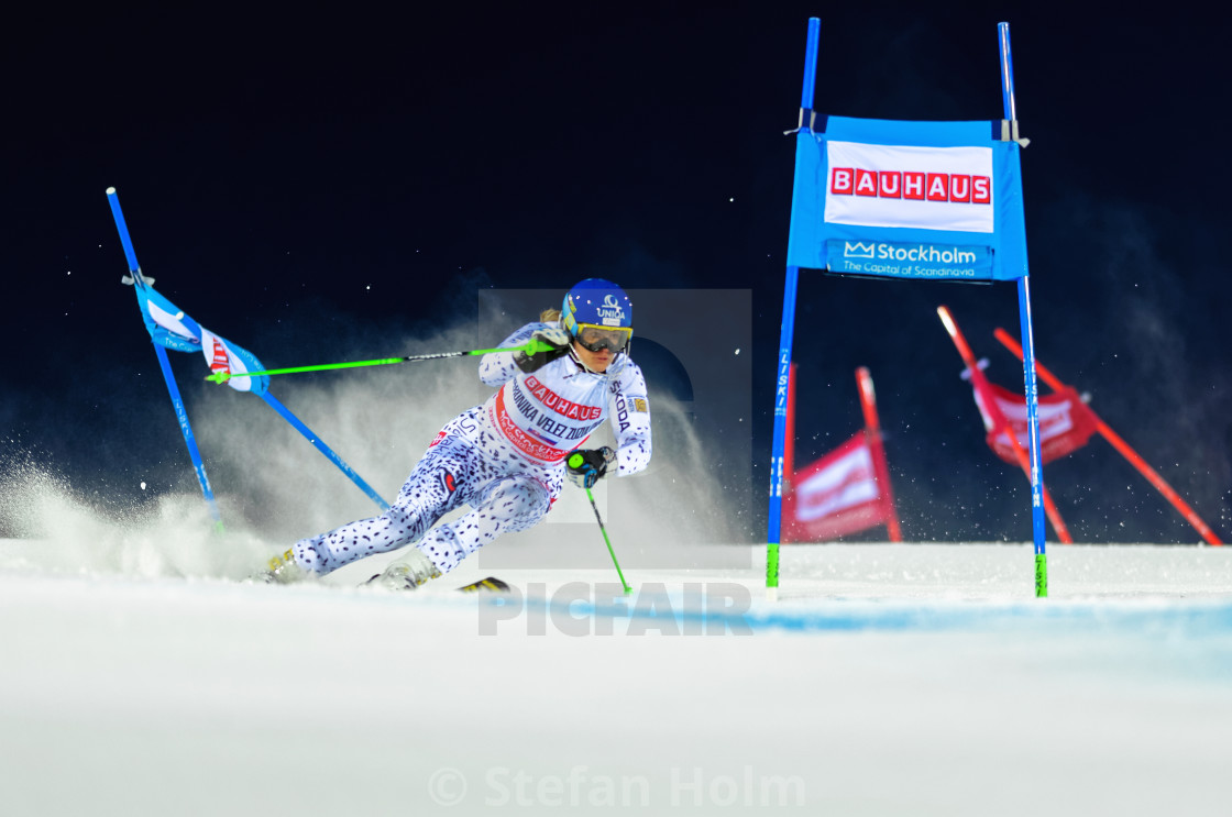 "Veronika Velez Zuzulova (SVK) at FIS SKI WORLD CUP" by Stefan Holm - $6.34 "Veronika Velez Zuzulova (SVK) at FIS SKI WORLD CUP" stock image