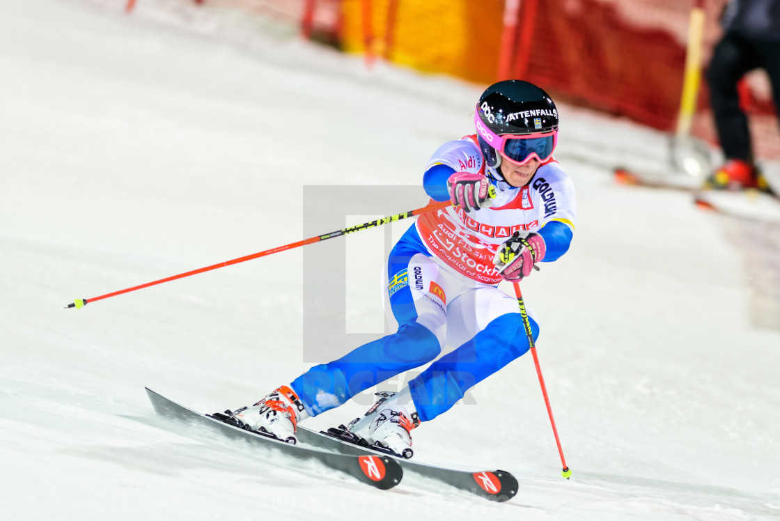 "Frida Hansdotter (SWE) at FIS SKI WORLD CUP" by Stefan Holm - $6.34 "Frida Hansdotter (SWE) at FIS SKI WORLD CUP" stock image