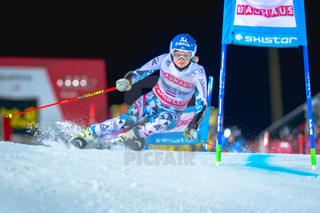 "Bernadette Schild (AUT) at the FIS Parallel slalom city event in" by Stefan Holm - $6.34 "Bernadette Schild (AUT) at the FIS Parallel slalom city event in" stock image