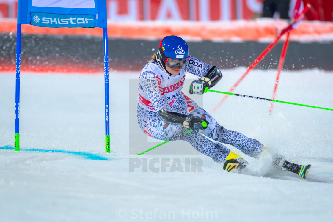 "Veronica Velez Zuzulova (SVK) at the FIS Parallel slalom city ev" by Stefan Holm - $6.32 "Veronica Velez Zuzulova (SVK) at the FIS Parallel slalom city ev" stock image