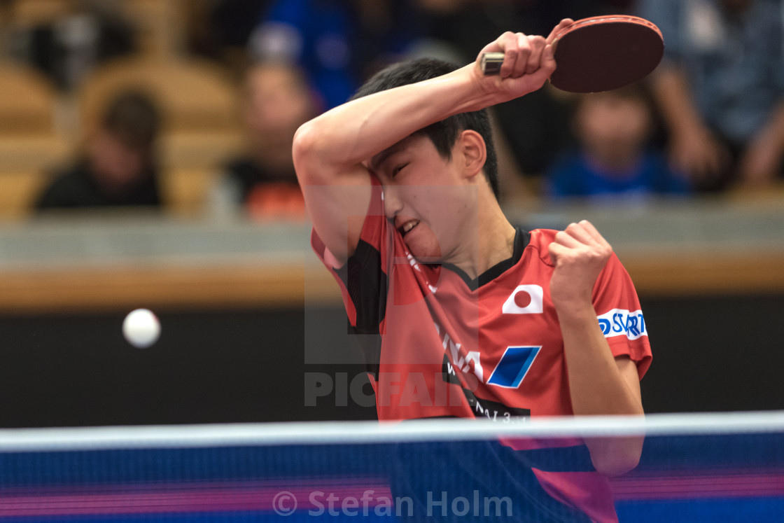 "Tomokazu Harimoto (Japan) against Xu Xin (China) at the table te" by Stefan Holm - $6.30 "Tomokazu Harimoto (Japan) against Xu Xin (China) at the table te" stock image