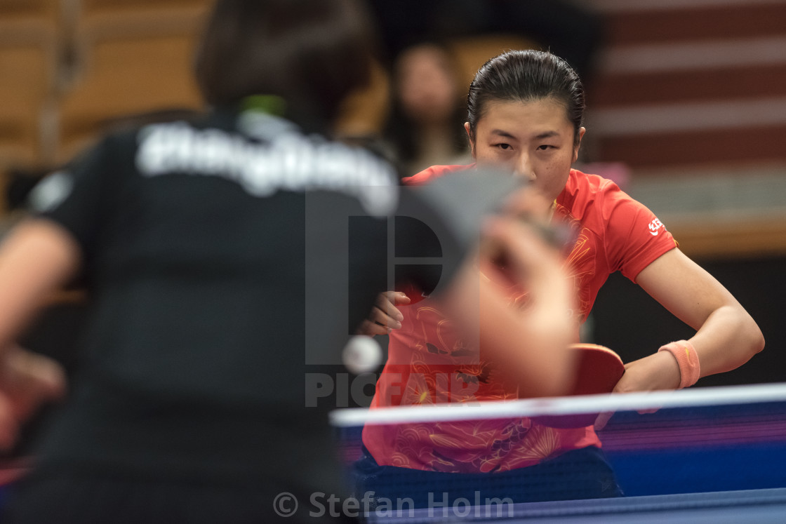 "Ding Ning (China) against Zhang Qiang (China) at the table tenni" by Stefan Holm - $6.32 "Ding Ning (China) against Zhang Qiang (China) at the table tenni" stock image