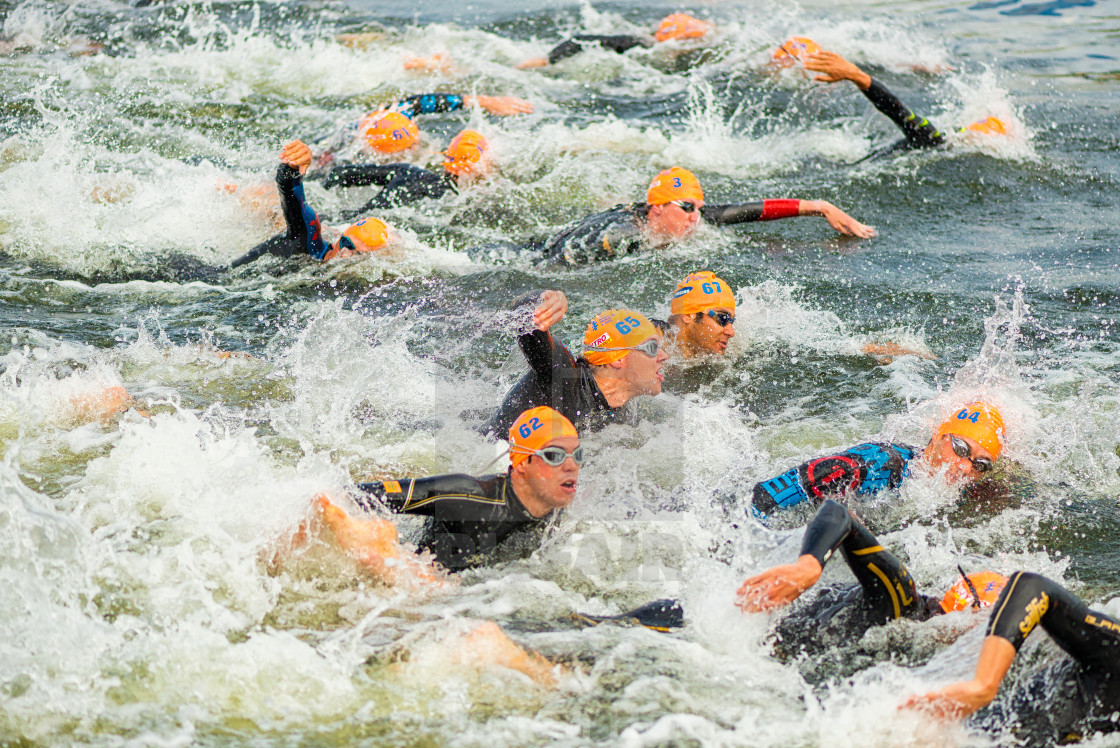 "STOCKHOLM - AUG, 24: The start with swimming of the Mens ITU Wor" by Stefan Holm - $6.29 "STOCKHOLM - AUG, 24: The start with swimming of the Mens ITU Wor" stock image