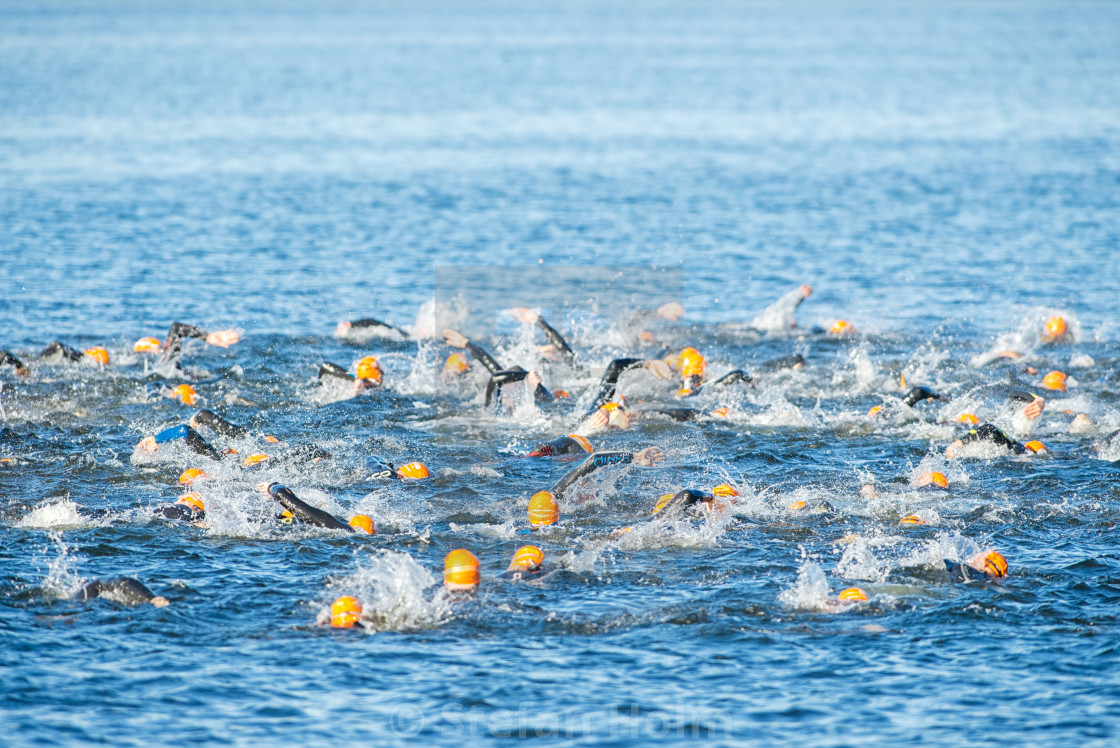 "Field of woman triathletes with orange caps crawling at the Wome" by Stefan Holm - $6.34 "Field of woman triathletes with orange caps crawling at the Wome" stock image